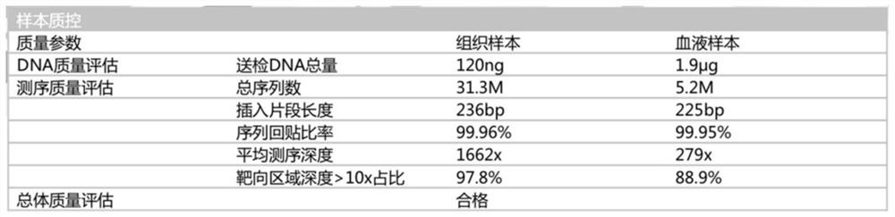 Gastric cancer detection panel based on next-generation sequencing technology and application of gastric cancer detection panel