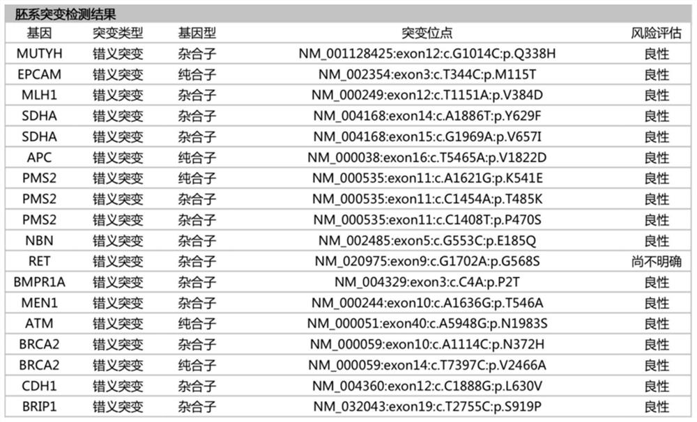 Gastric cancer detection panel based on next-generation sequencing technology and application of gastric cancer detection panel