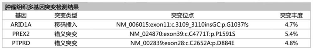 Gastric cancer detection panel based on next-generation sequencing technology and application of gastric cancer detection panel