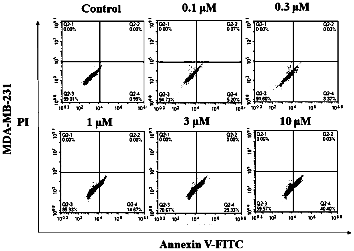 Polyketone compound pyoluterin, and preparation method and application thereof