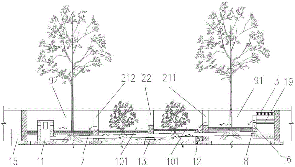 Combined rainwater infiltration tree pond