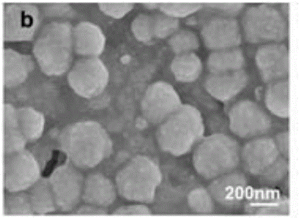 Cysteine/ferroferric oxide/copper sulfide/BSA (bovine serum albumin) nano-composite particle as well as preparation and application thereof