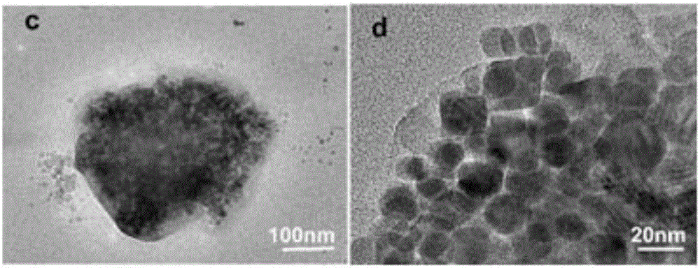 Cysteine/ferroferric oxide/copper sulfide/BSA (bovine serum albumin) nano-composite particle as well as preparation and application thereof