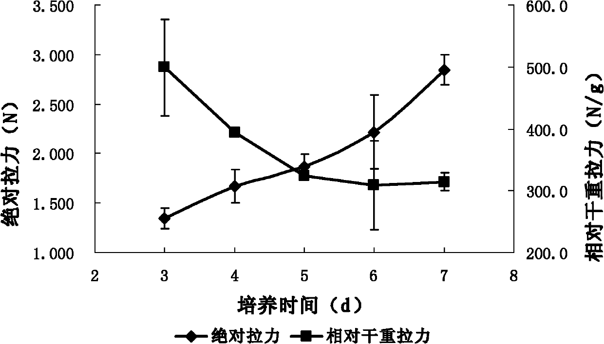 Device and method for preparing hollow heteromorphic bacteria cellulose material