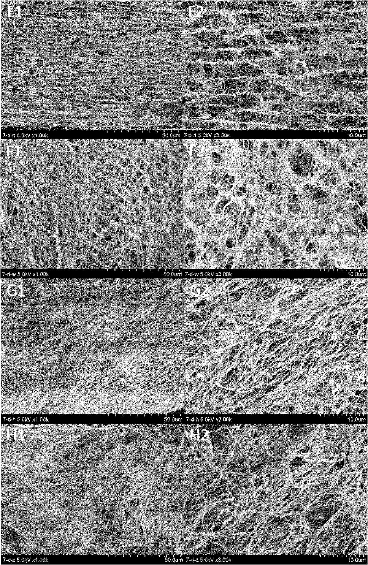 Device and method for preparing hollow heteromorphic bacteria cellulose material