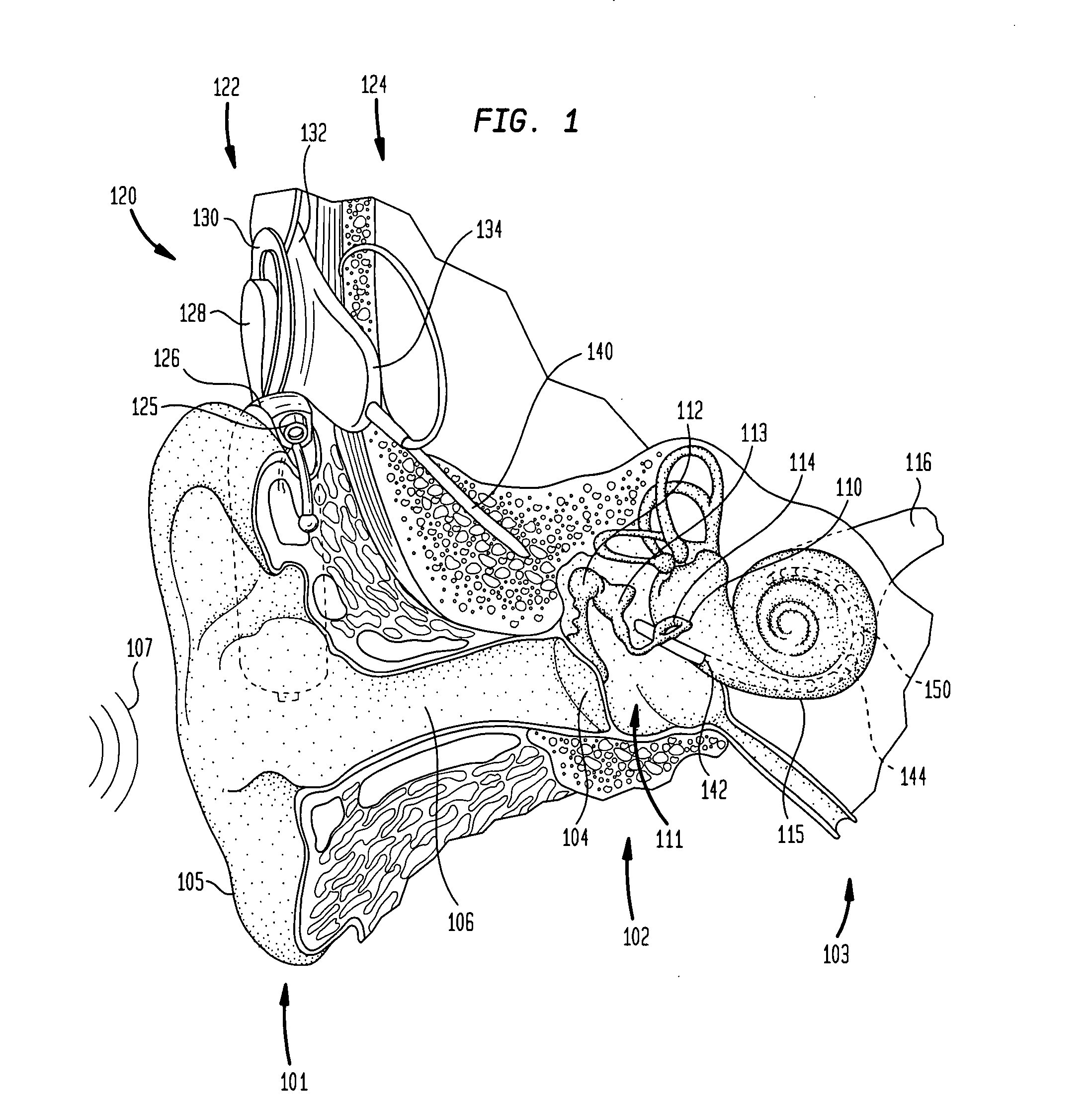 Stimulating auditory nerve fibers to provide pitch representation