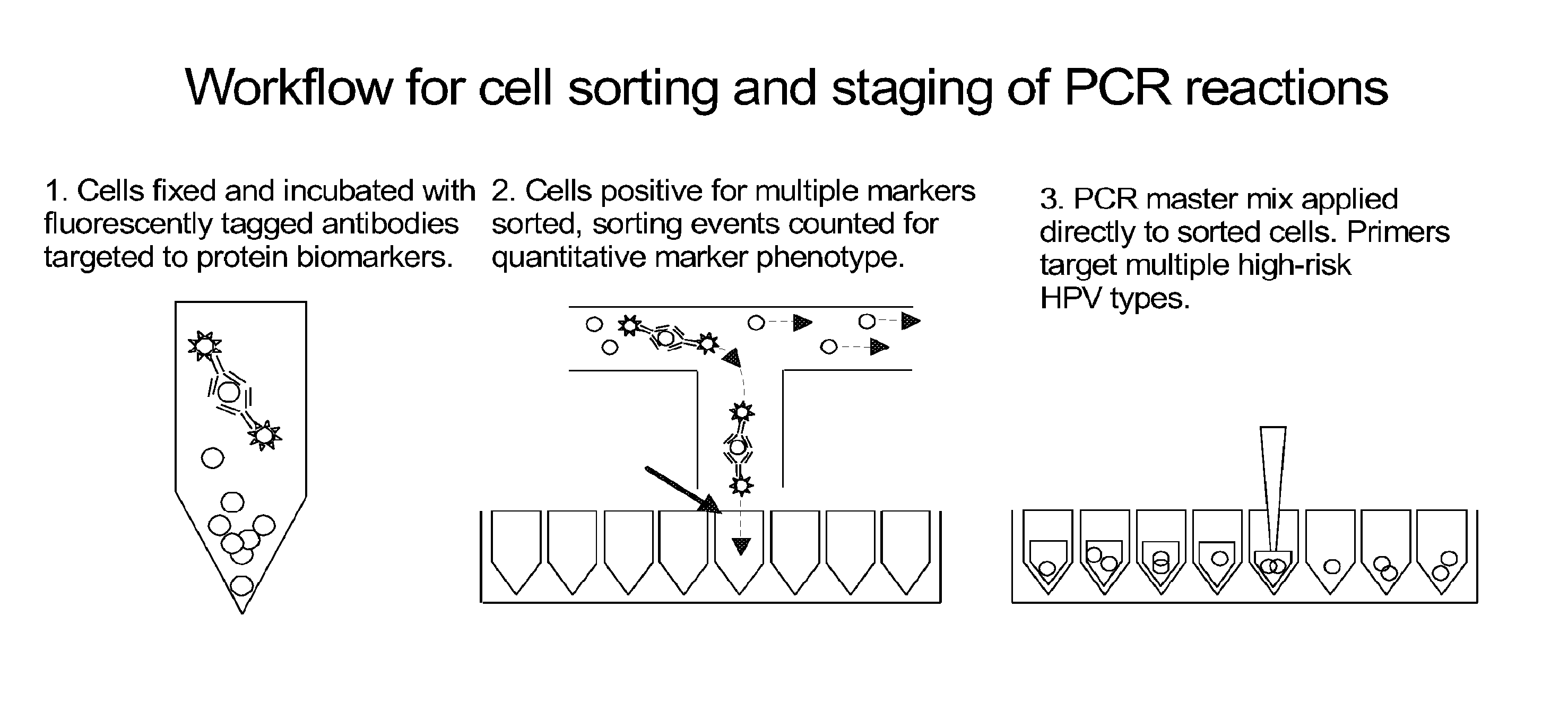 Integrated assay that combines flow-cytometry and multiplexed HPV genotype identification