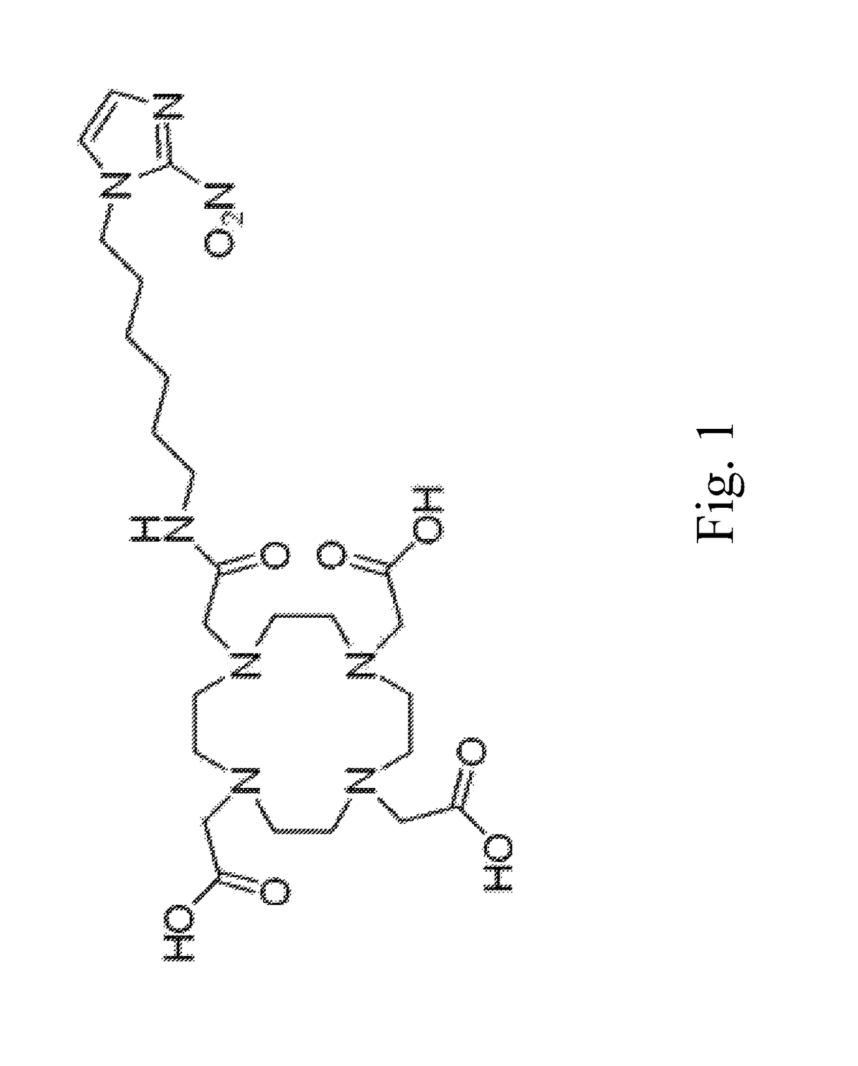 Contrast agent precursor and method for preparing the same