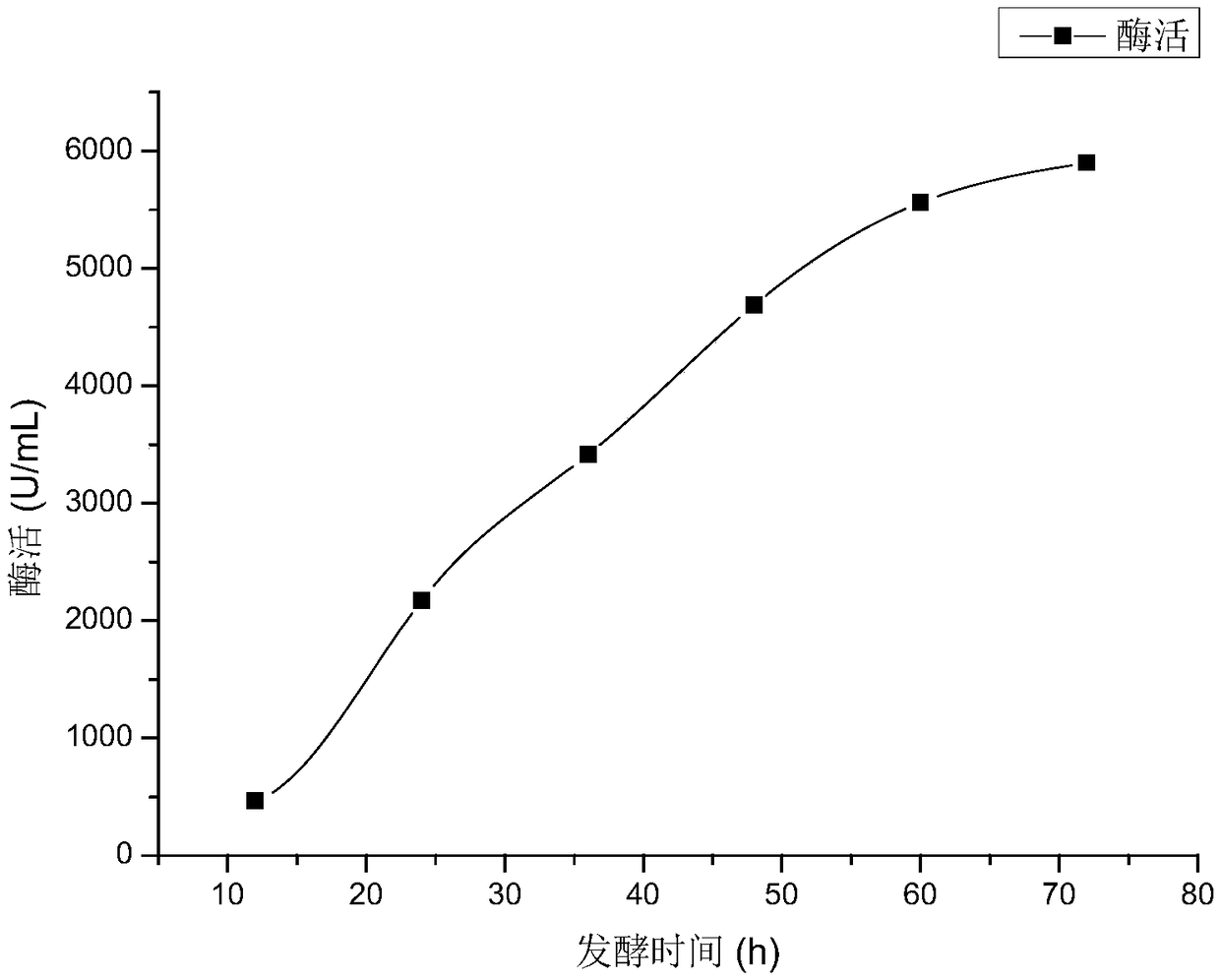 Protease and method for preparing low-cadmium rice polypeptide from protease