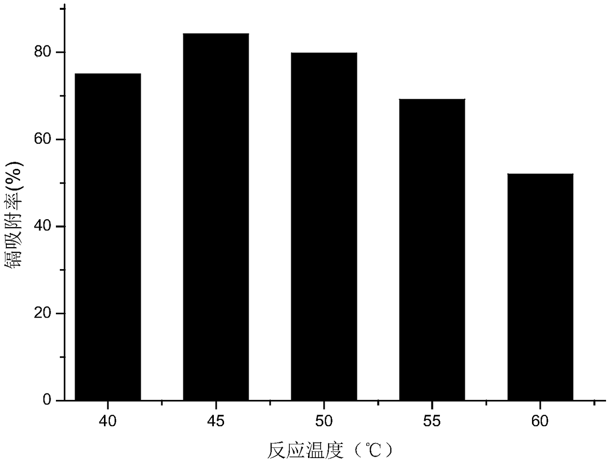 Protease and method for preparing low-cadmium rice polypeptide from protease