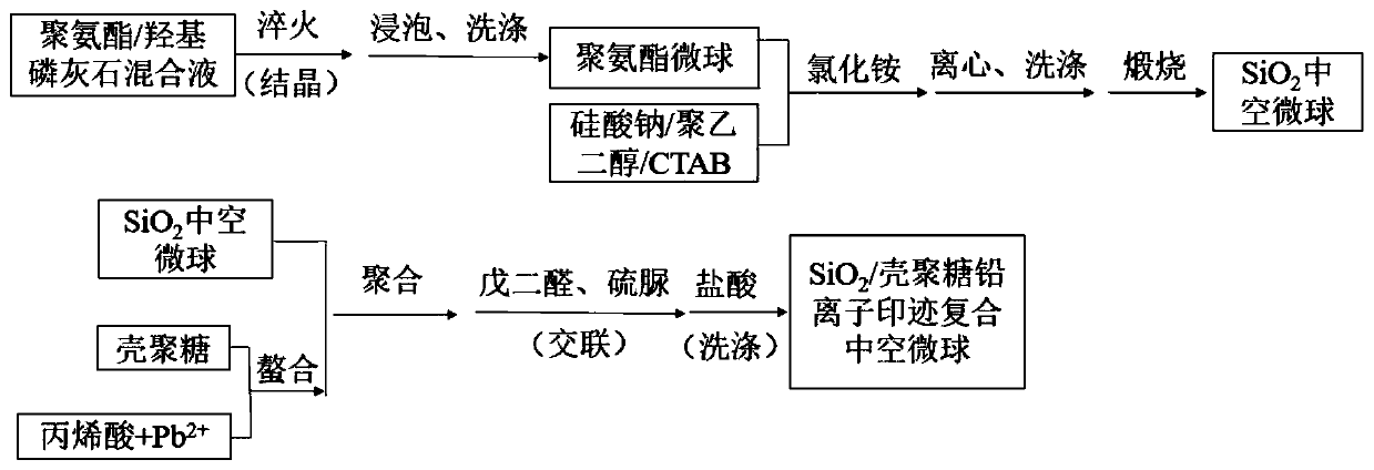 Preparation method of SiO2/chitosan-based lead ion imprinted hollow microspheres