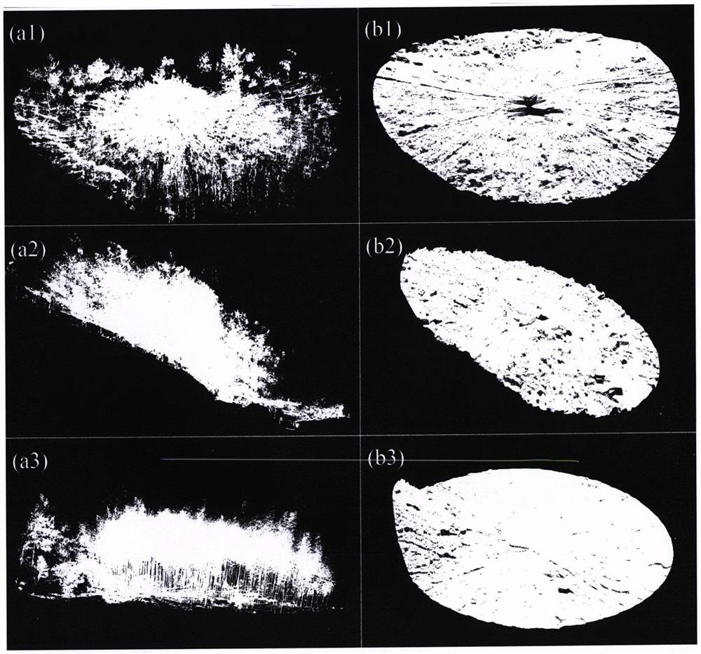 Method for extracting under-forest vegetation coverage under complex terrain condition by using ground laser radar data