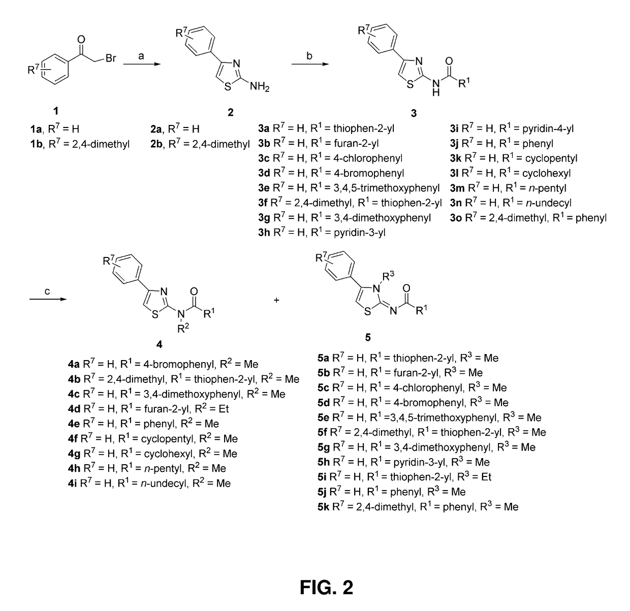 Anti-migration and anti-invasion thiazole analogs for treatment of cellular proliferative disease