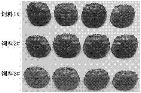 High-valued utilizing method of haematococcus pluvialis algal residue in economic crab fattening fodder