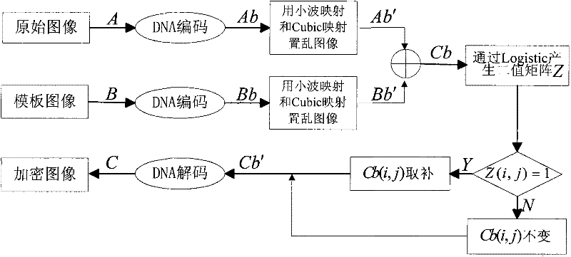 Image fusion encryption method based on DNA sequences and multiple chaotic mappings