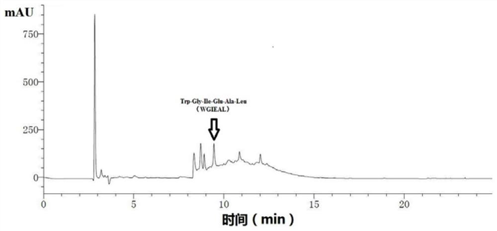 A blood lipid-lowering hexapeptide derived from the swim bladder of yellow croaker and its application