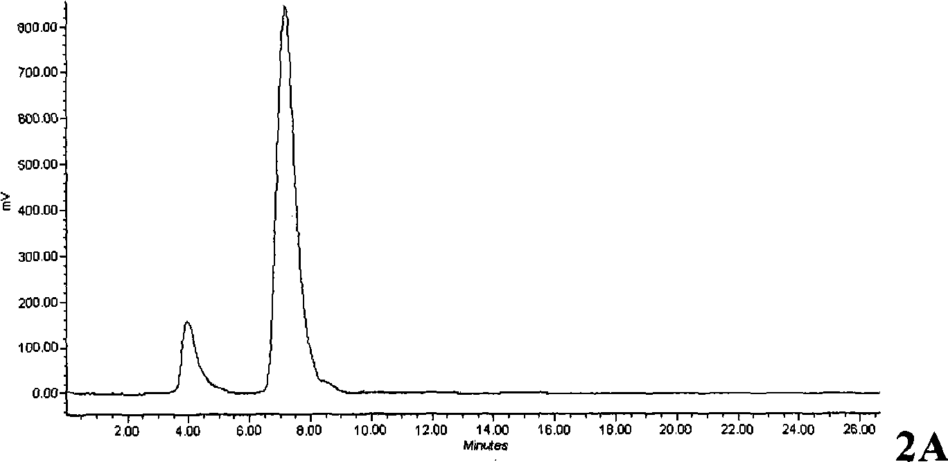 New synthetic method of PET imaging agent L-5-&lt;18&gt;FETP