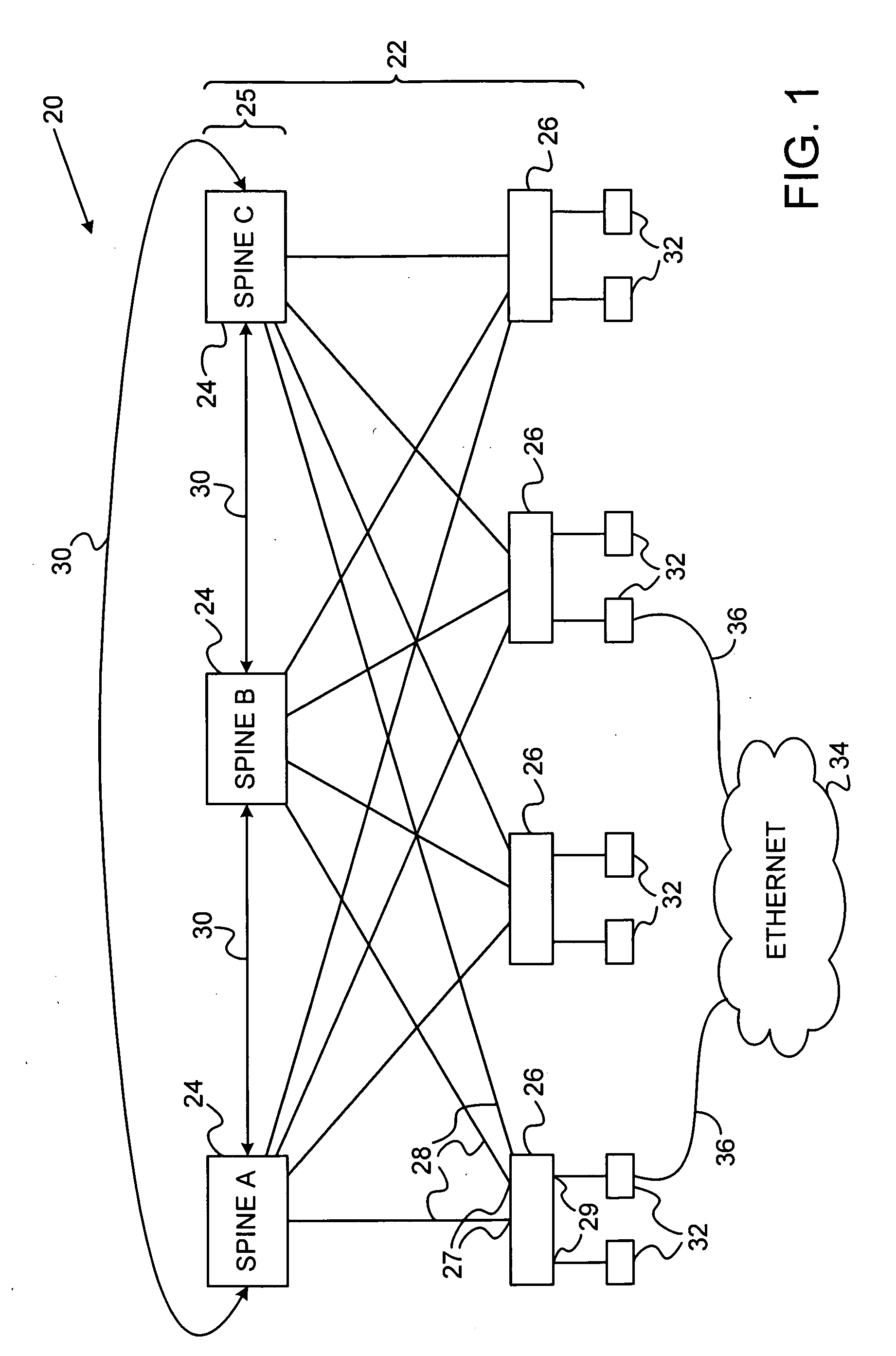 Spanning tree root selection in a hierarchical network