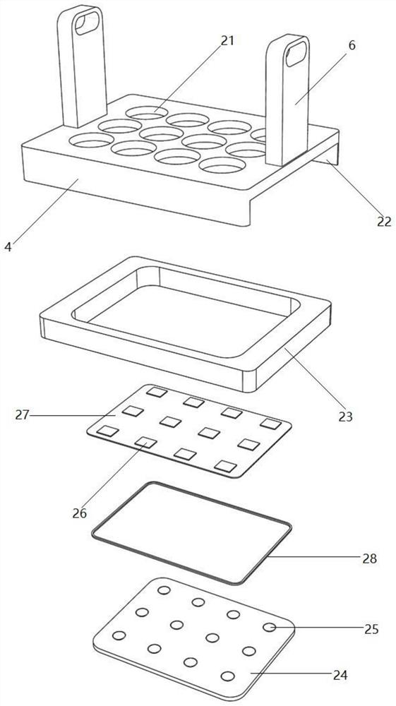 Microbial observation sample preparation device