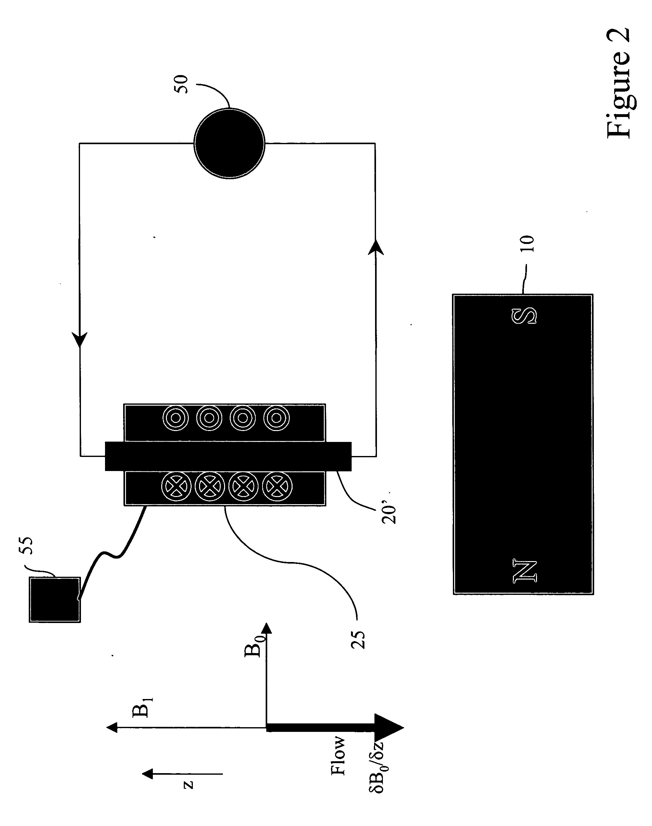 Downhole NMR flow and formation characterization while sampling fluids