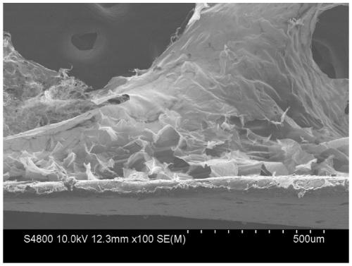 Composite nanofiber pad, hydrogel/sponge dressing, preparation method and application