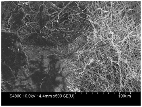 Composite nanofiber pad, hydrogel/sponge dressing, preparation method and application