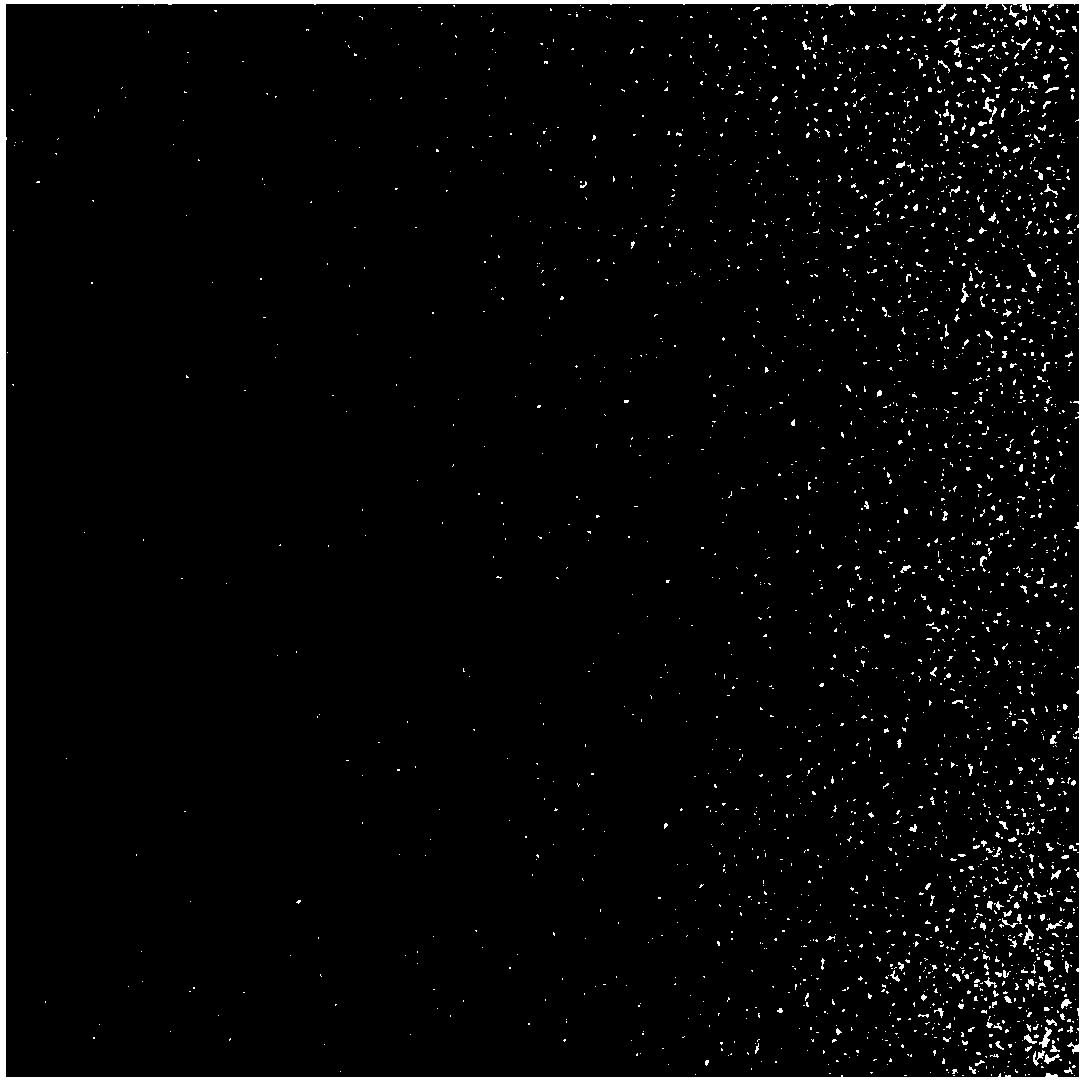 InP quantum dot and preparation method therefor