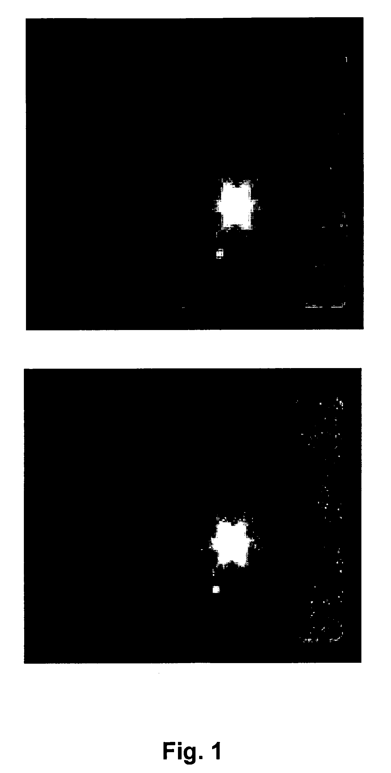 Method for Treating Disseminated Cancer