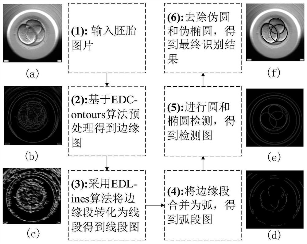 Embryo Automatic Recognition Method Based on Image Processing