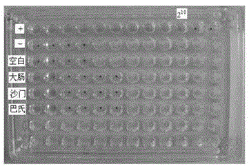 An indirect hemagglutination antibody detection kit for Riemerella anatipestifer and its application