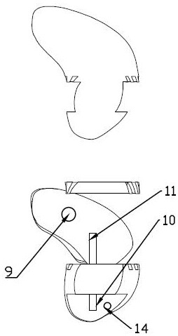 Replacement scaphoid bone used in orthopedic surgery