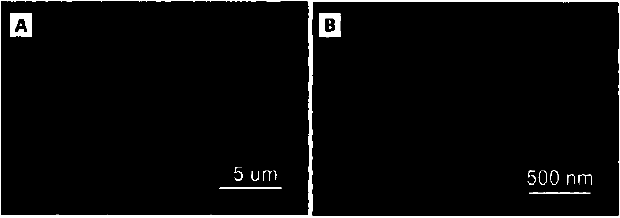 Lithium iron phosphate/graphene composite lithium battery positive electrode material with porous structure