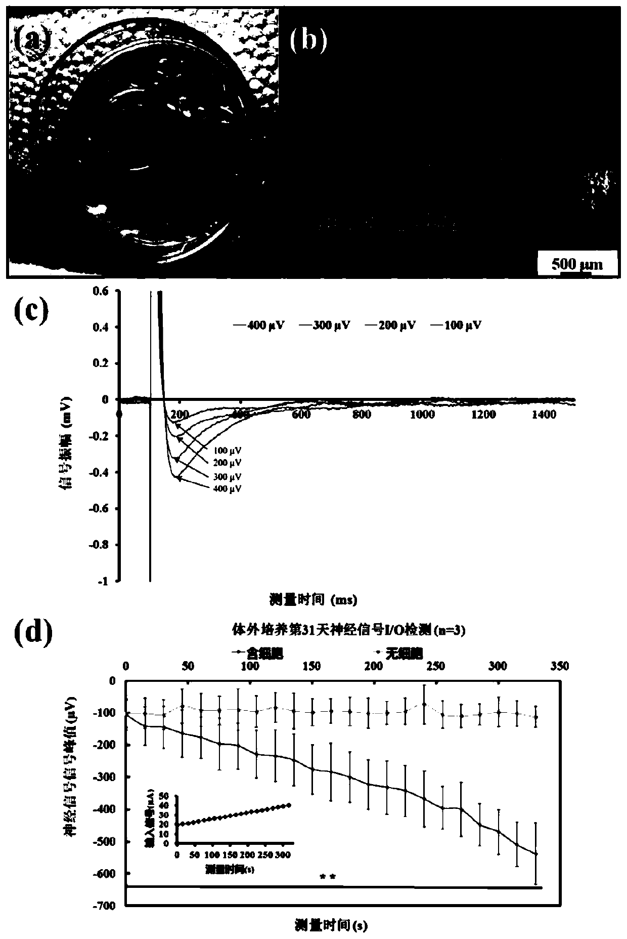 Brain-like disease treatment tissue model based on cell three-dimensional printing technology and preparation method and application thereof