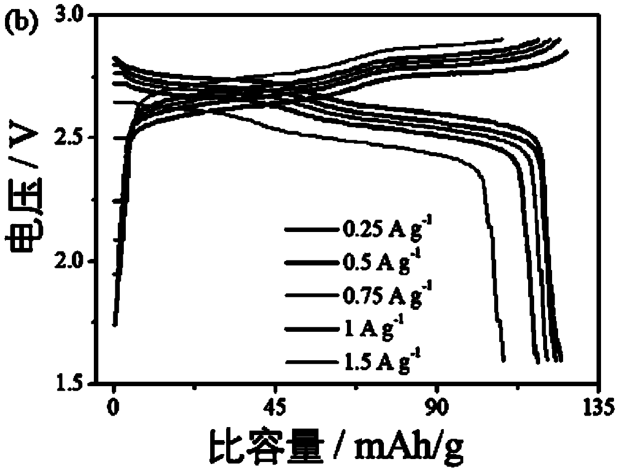 Chargeable and dischargeable aqueous solution energy storage device