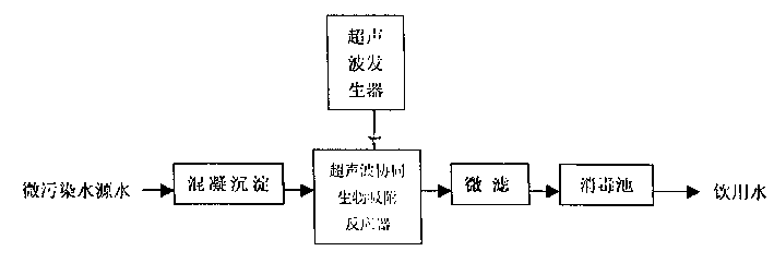 Ultrosonic wave concerted biological adsorption water treating method