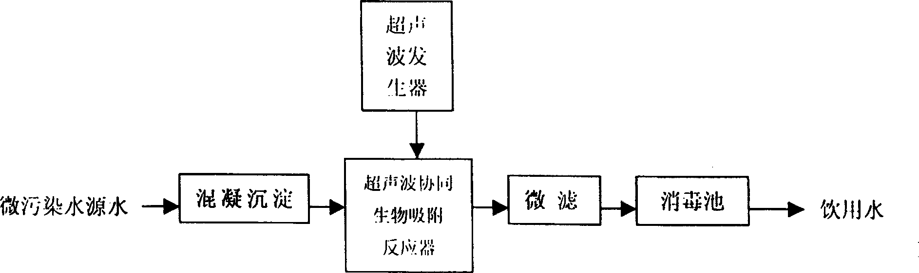 Ultrosonic wave concerted biological adsorption water treating method