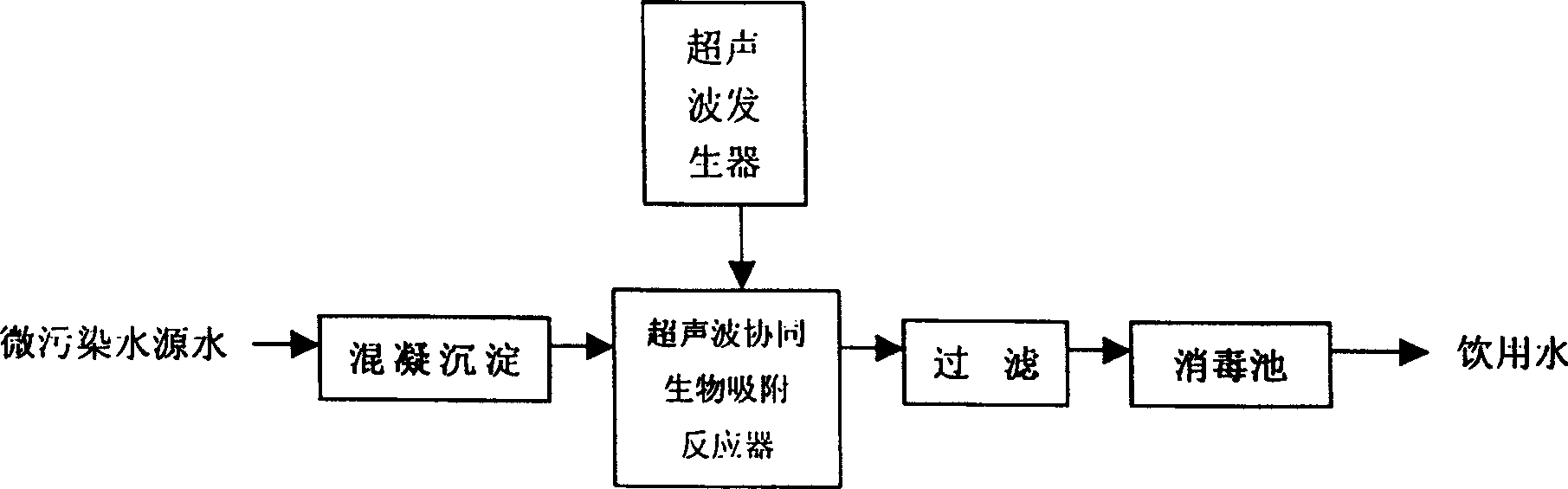 Ultrosonic wave concerted biological adsorption water treating method