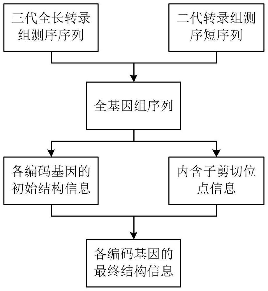 A Genome Annotation Method Using Second- and Third-Generation Transcriptome Sequencing Data