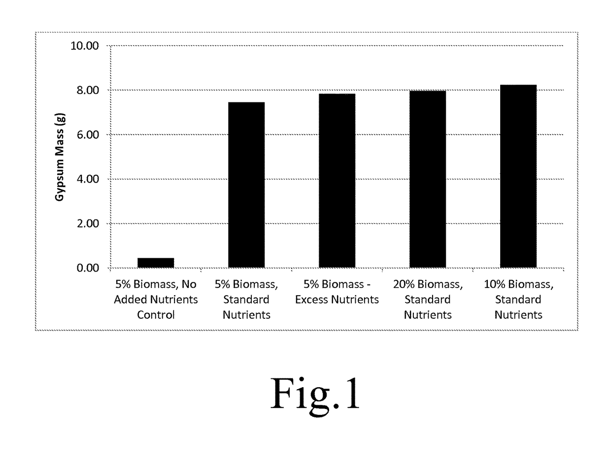 Biogeochemical Transformations of Flue Gas Desulfurization Waste Using Sulfur Oxidizing Bacteria