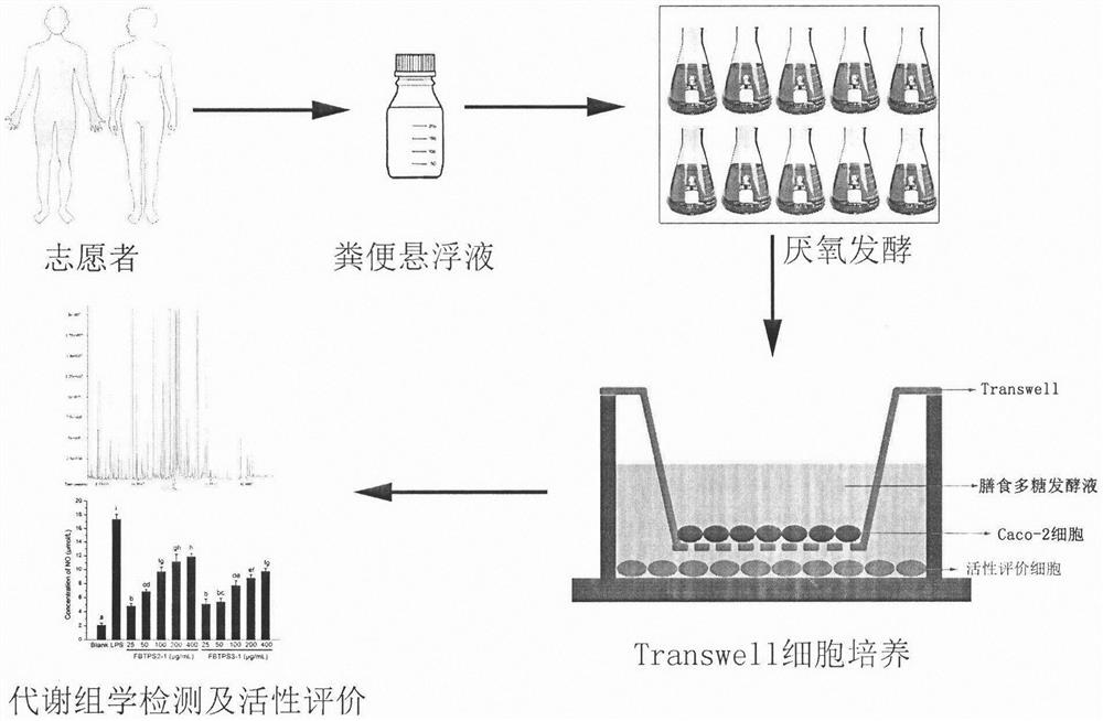 Method for evaluating activity of dietary polysaccharide