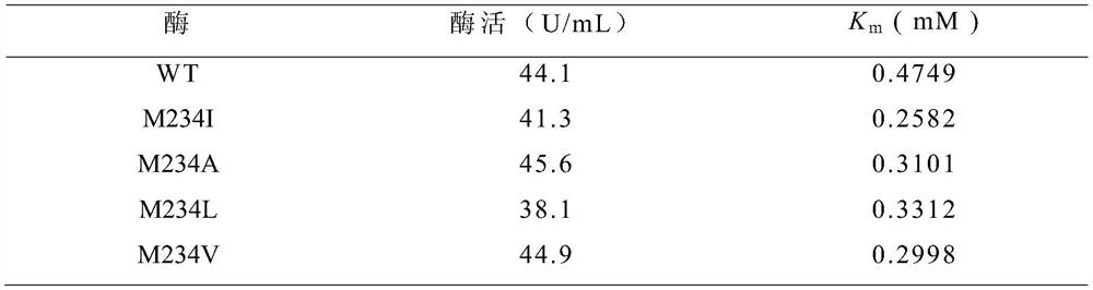 A mutant of cyclodextrin glucosyltransferase and its application