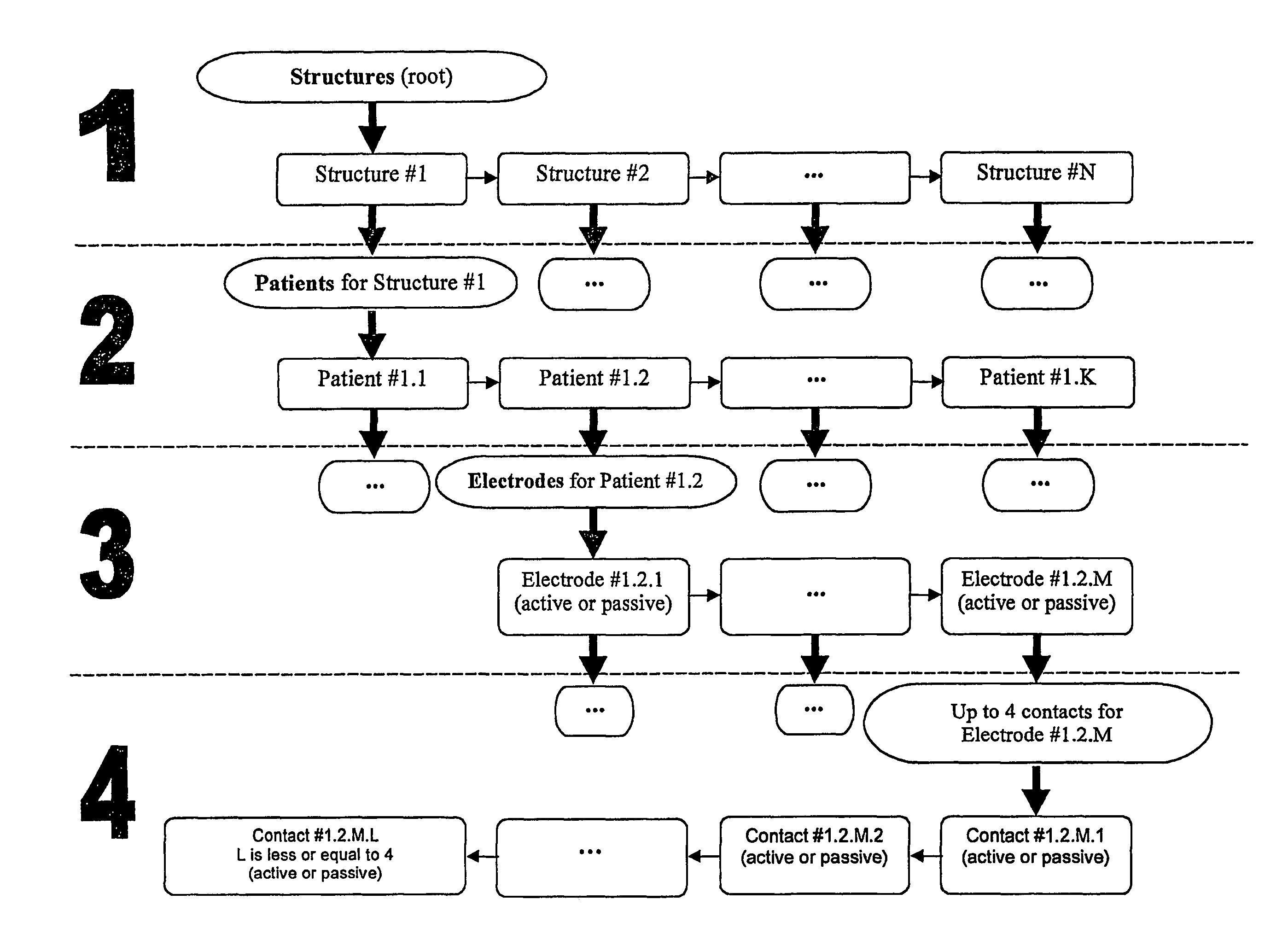 Methods and apparatus for calculating and presenting the probabilistic functional maps of the human brain