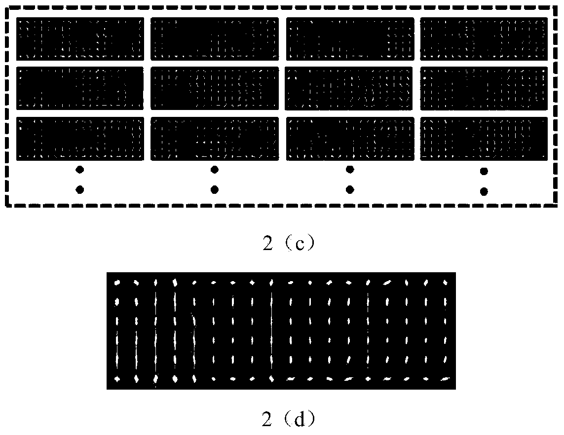 License plate character segmentation method based on parts