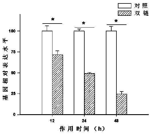 Application of migratory locust metallothionein I-type gene LmMt I to grasshopper control