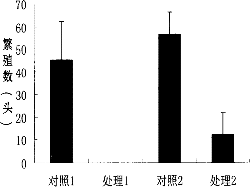 Novel gene of virus original protease inhibitor as well as expression and application thereof