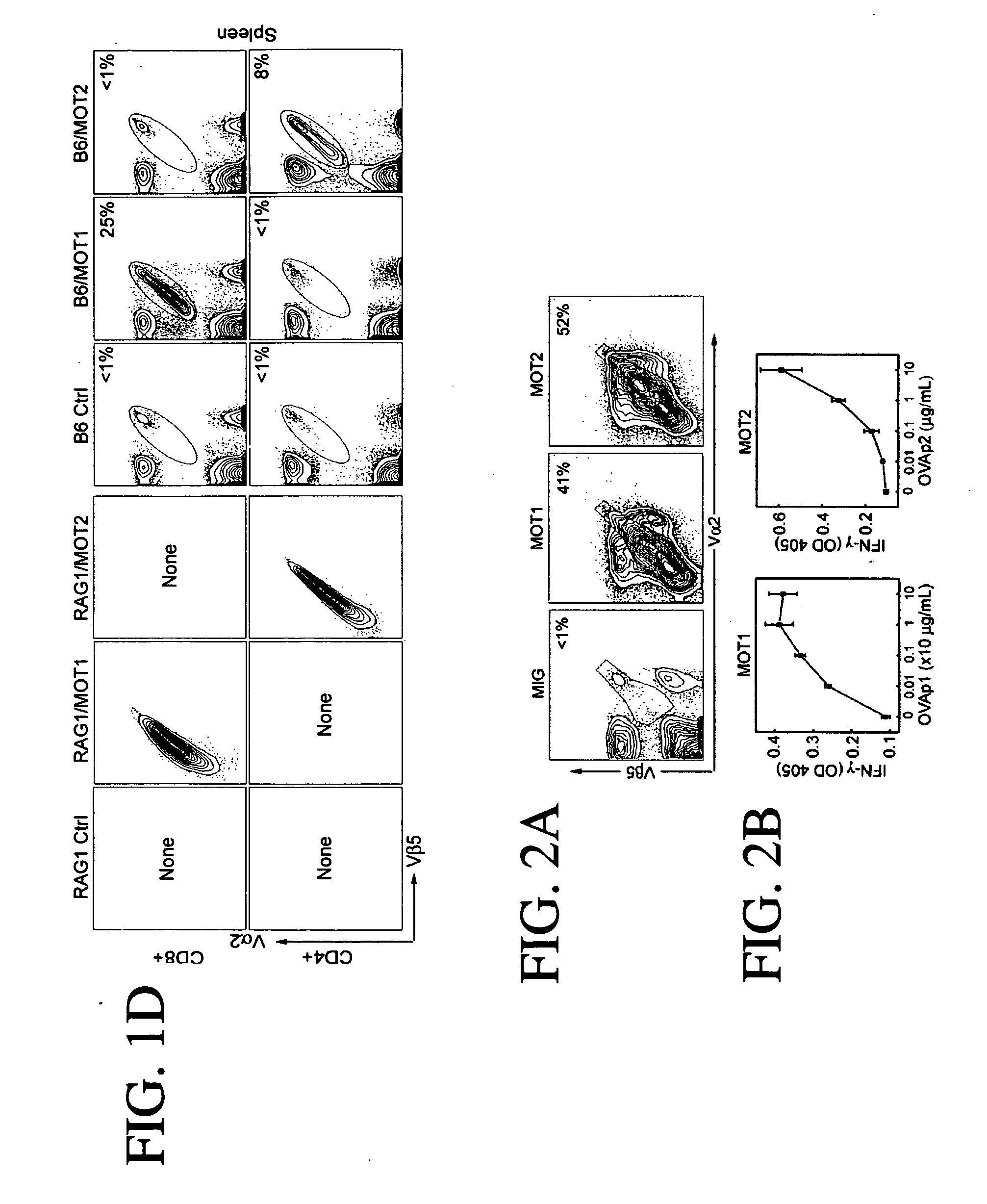 Antigen specific T cell therapy