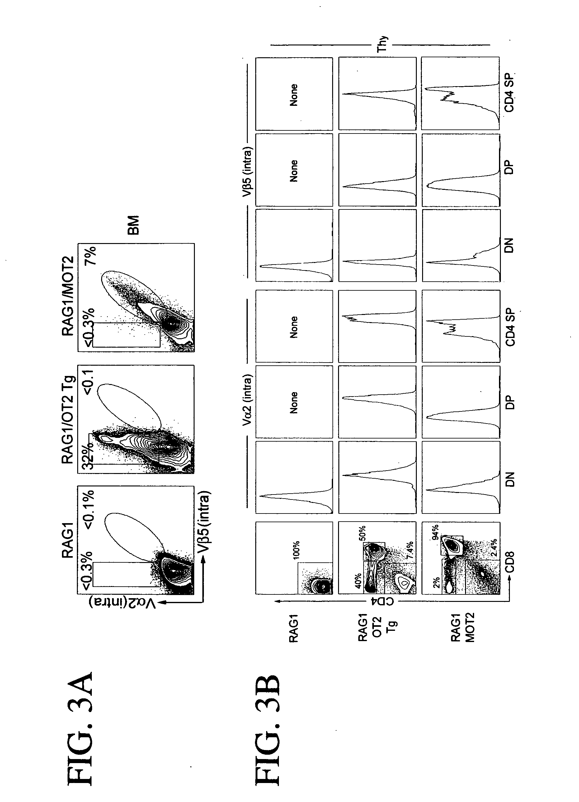 Antigen specific T cell therapy