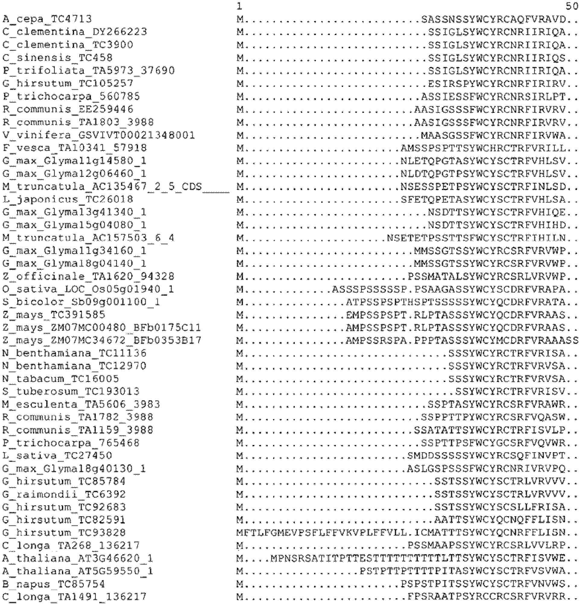 Plants having enhanced yield-related traits and a method for making the same