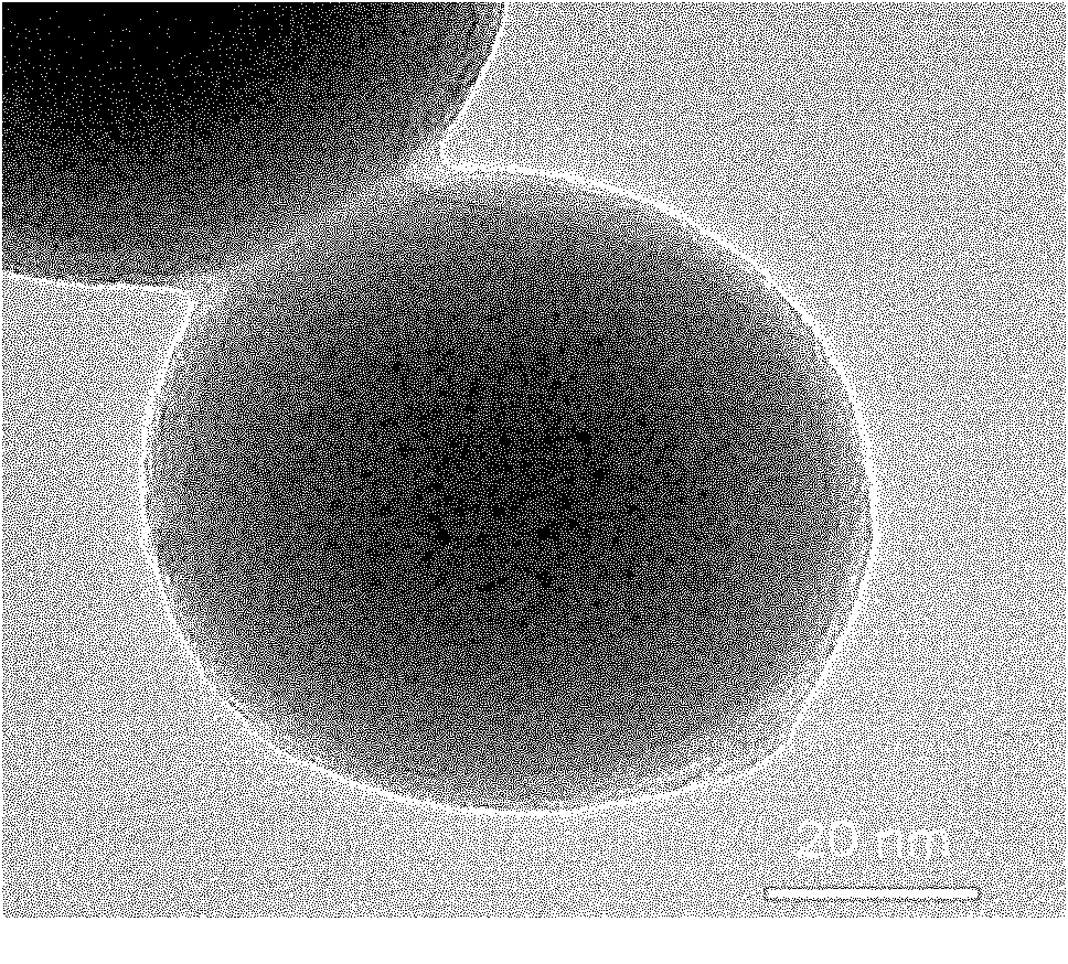 Method for preparing polymer fluorescent nano particle