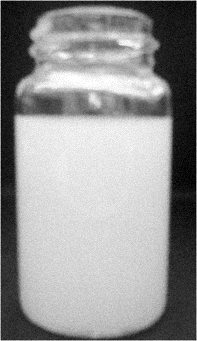 Method for preparing polymer fluorescent nano particle